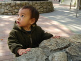 6b026731.JPG