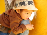 73f663e1.JPG