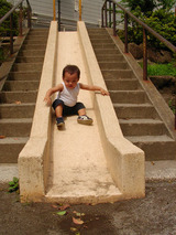 cf6a94a4.jpg
