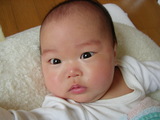 f7b1d91a.JPG