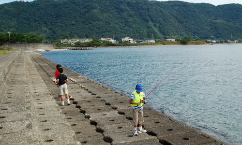 釣り作戦開始!