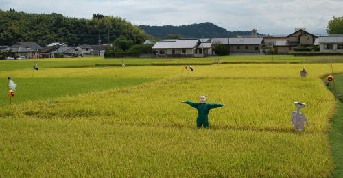 あんな所に・・・