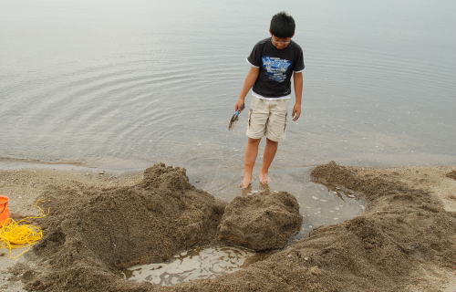 作品名 「 我が鹿児島 」