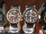 TIMEX2