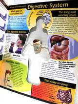 HUMAN BODY2