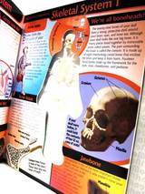 HUMAN BODY3