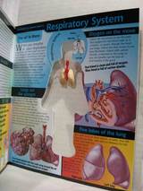 HUMAN BODY4