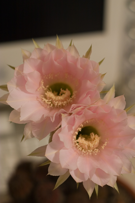 CRW_9543