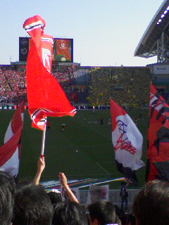47110193.jpg