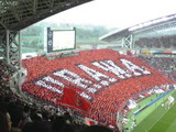 6fc49d8c.jpg