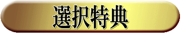 特典2