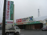 �ꥵ�����륷��å��ϵ��²