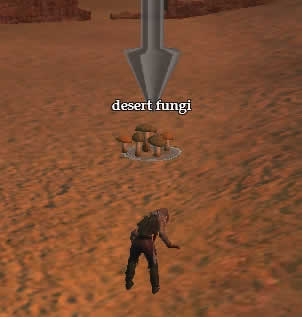 Fungi