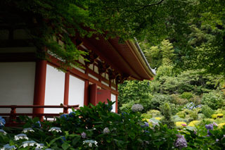 久安寺5