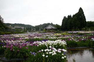 永澤寺3