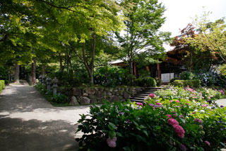 久安寺3