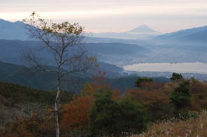 00a98258.jpg