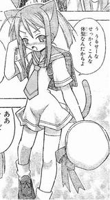 猫耳千雨
