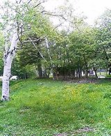 2a1a2f40.jpg