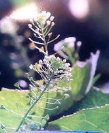 �ʤ���