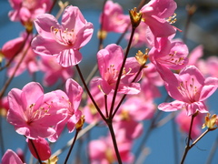 �䥷���ĥĥ�