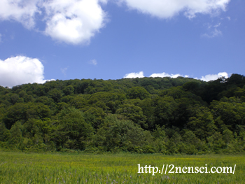 白神山地1