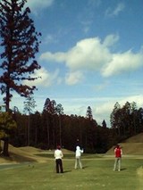 ショートはグリーン面を認識