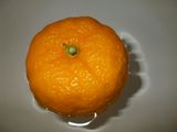 7d40d546.jpg