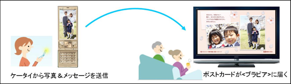 ブラビアポストカード
