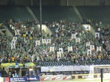 Timbers ¥¹¥¿¥ó¥É
