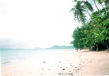 95786e20.jpg