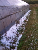 11009b5e.JPG