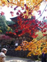 湖東三山の紅葉