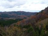 多根地区の紅葉