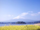 sakutra