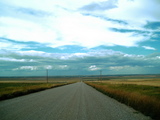 d970a384.jpg