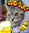 ¥¢¥á¥ê¥«¥ó¥·¥ç¡¼¥È¥Ø¥¢