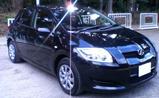 AURIS