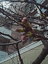 050331_0724~01.jpg