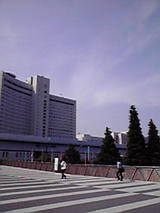 d0677242.jpg