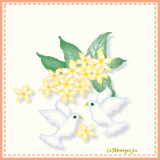 0557fc09.gif