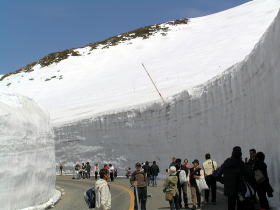 yukinootani2007