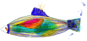 wonderfish_s