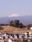 44a43316.jpg