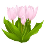 511c92c5.jpg