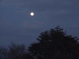 69b68701.jpg