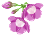 867491ce.gif