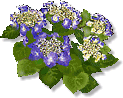 9a6791ce.gif