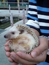 20080405