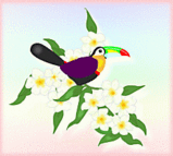 c3ebe7f2.gif
